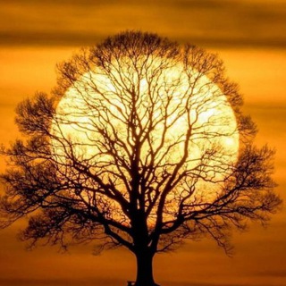 Логотип @vip_foto - Уникальные фотографии