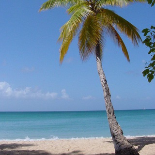 Логотип @viptour61 - ВИП ТУРИСТ