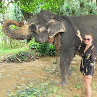 Логотип @viptravelagent - viptravelagent Oksana Makarenko