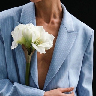 Логотип @virgotex_tkani - virgotex.ru