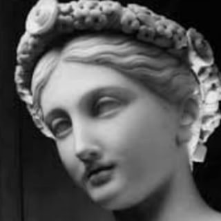 Логотип @viribusfemale - Viribus | Women's Fitness, Mindset & Happiness 🚺