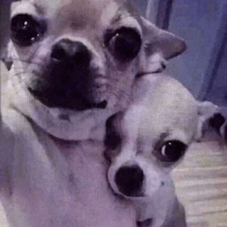 Логотип @virtpsihologg - чочо