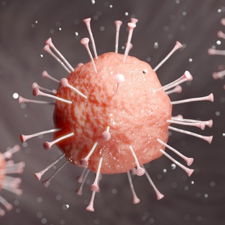 Логотип @virus_inform - Вирусология