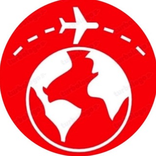 Логотип @visa_in_usa - Виза в США