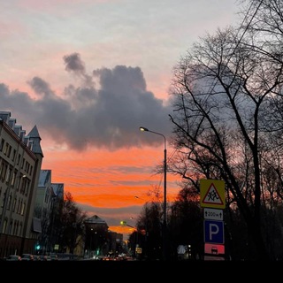 Логотип @vishnyalif - /Вишнёвая жизнь/