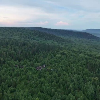 Логотип @visimzap - Висимский заповедник