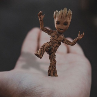 Логотип @visitingthephotographer - Visiting Photographer📷