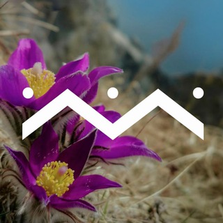 Логотип @visitkolyma - VisitKolyma