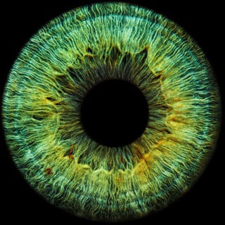 Логотип @visometry - Офтальмолог в кармане