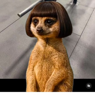 Логотип @vissarionveschaet - Виссарион вещает