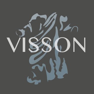 Логотип @visson4 - Виссон