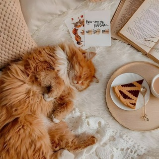 Логотип @visuallity - V I S U Λ L I T Y