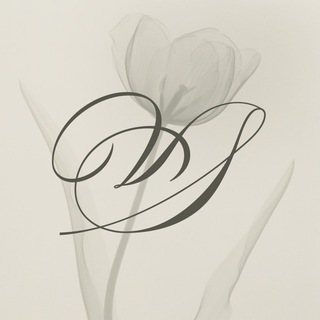 Логотип @visualsenses - Vísual Sénses