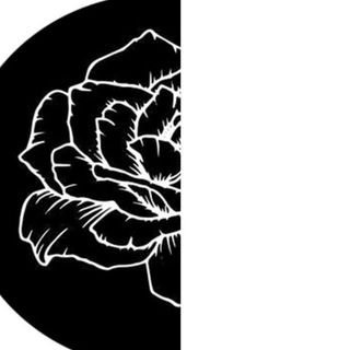 Логотип @vita_nuova - VITA NUOVA | Образовательный проект «Новая жизнь»