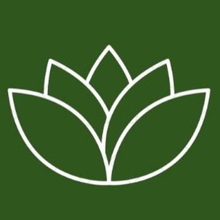 Логотип @vitalab24 - КЛИНИКА ВИТАЛАБ | Некрасовка