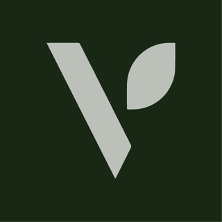 Логотип @vitalhealthoficial - VITALHEALTH CANAL OFICIAL