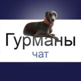 Логотип @vitamodo_chat - VitaModo_Chat