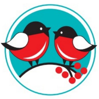 Логотип @vitanord - Аптечная сеть Вита Норд