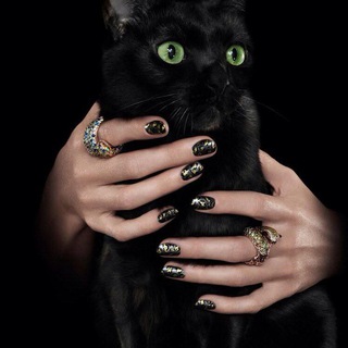 Логотип @vitaponty - 🦋Когтеточка🦋