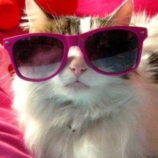 Логотип @vitare2021 - VITARE 2021