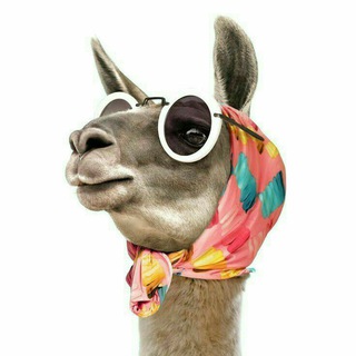 Логотип @vitasik_prints - Витасик печатает...