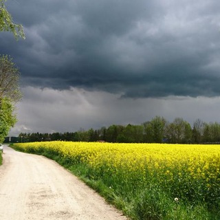 Логотип @vitrefnyak - vtrefnyak