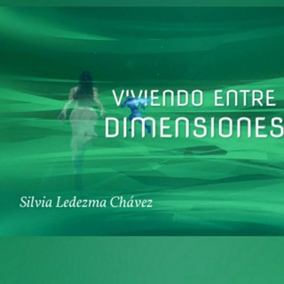 Логотип @viviendoentredimensiones - VIVIENDO ENTRE DIMENSIONES