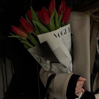 Логотип @vivsssl - 4.20…🕊