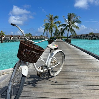 Логотип @vizitlife - Travel Gorod