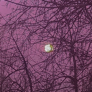 Логотип @vkiselevsk - В Киселёвске