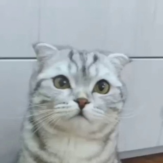 Логотип @vknblog - Блог VKN/VKL — и точка.