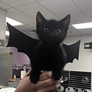 Логотип @vkozanchyn - VKozanchyn个