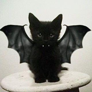 Логотип @vkozanchynchat - хейтеры вкозанчина