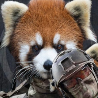 Логотип @vkscreenshots - VK Screenshots