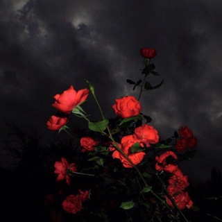 Логотип @vkusimir1 - 🥀VkusiMir🥀