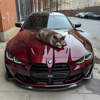 Логотип @vkusna_prosta - World Music🎙