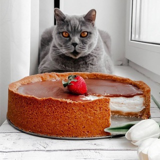 Логотип @vkusnofm_chat - ВкусноFM Chat