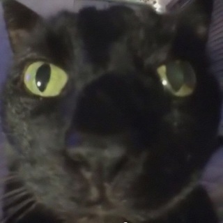 Логотип @vkwall - Стенка во вконтактике