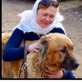 Логотип @vlada_funtik - Приют «Ванечка»