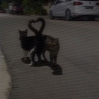 Логотип @vladi7654321 - Винишко тян