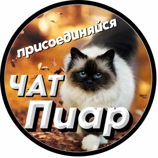 Логотип @vladik_pr - 🔺ПИАР TOP-100🔺