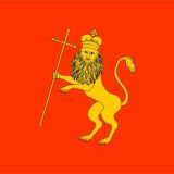 Логотип @vladimir_gid - Новости Владимира