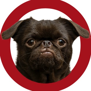 Логотип @vladimir_maslov - ЗУМ Владимира Маслова