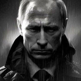 Логотип @vladimirtupi - Vladimir Tupin 🇷🇺Offiziell