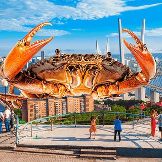 Логотип @vladivostok_tut - Владивосток | Дальний восток | Новости