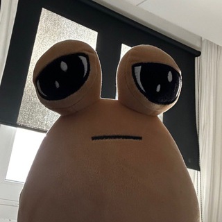 Логотип @vladkulya - лилкуля