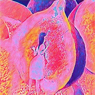 Логотип @vlazhnyenovosti - Влажные новости