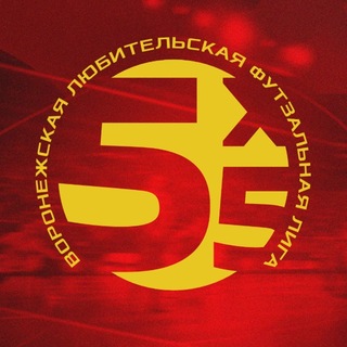 Логотип @vldfru - ВЛДФ | Воронежская любительская футзальная Лига