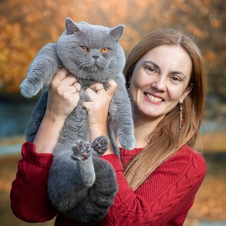 Логотип @vlenika - Vlenika