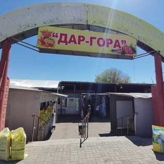 Логотип @vlg34grad - Дар-гора🇷🇺